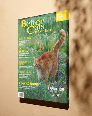 Personalized Better Cats in Gardens Canvas