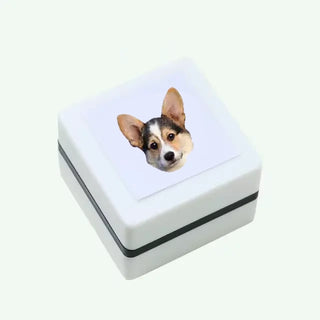 Personalized Pet Stamp